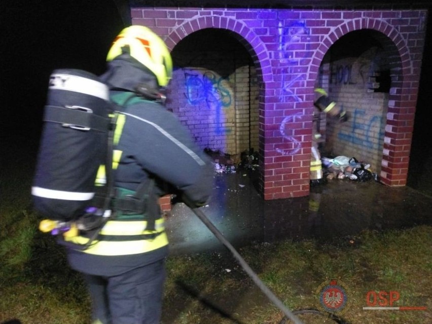 Powiat ostrołęcki. Pożar śmietnika na przystanku ugasili policjanci [ZDJĘCIA]