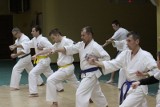 Darmowe zajęcia karate w Hotelu Gołębiewski (wideo)