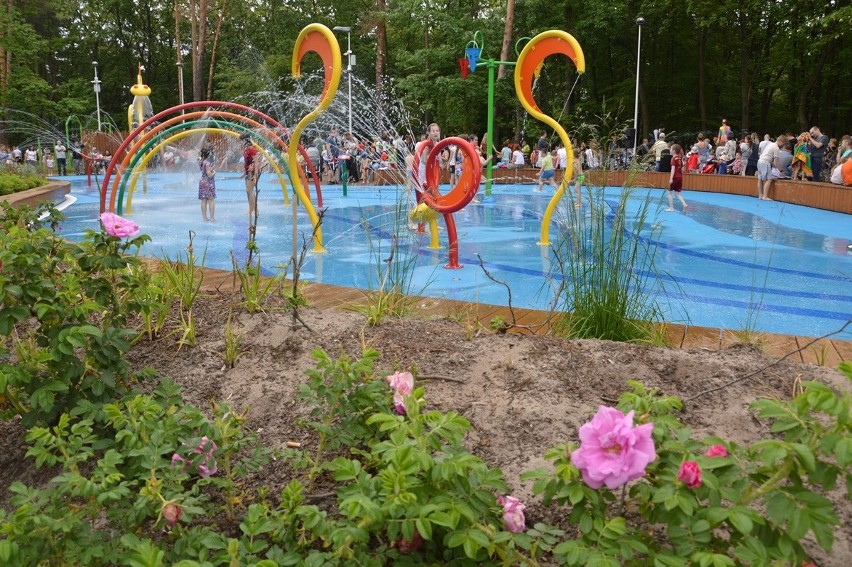 Na Dzień Dziecka otwarto rozbudowany park linowy i wodny plac zabaw
