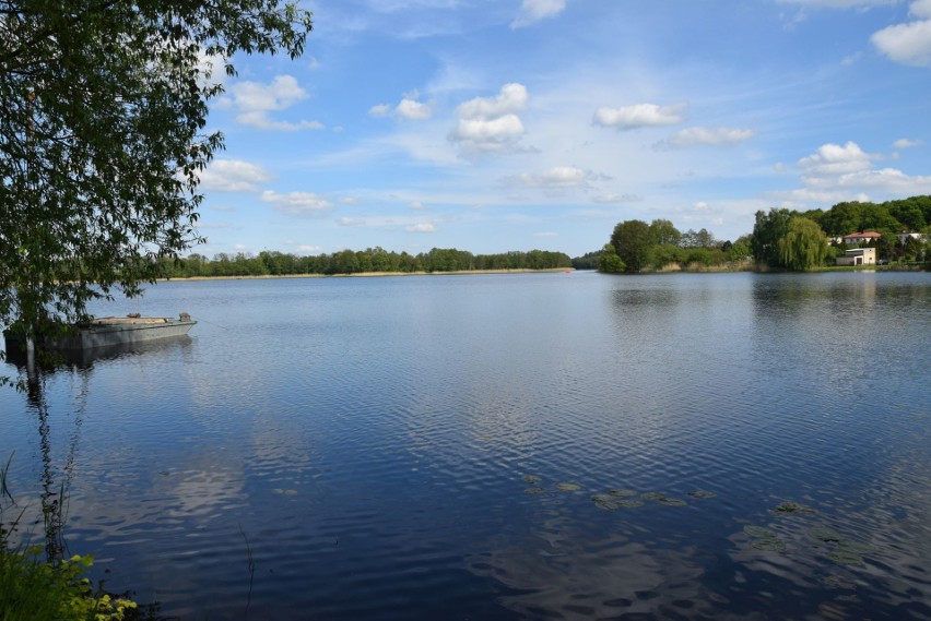 Jezioro Więcborskie o powierzchni 200 ha jest największym z...