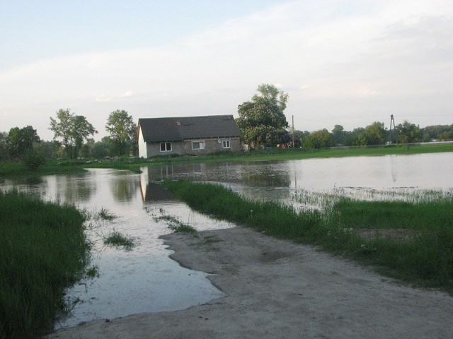 Tak wyglądały niektóre gospodarstwa w Siarzewie w gm. Raciążek podczas majowej powodzi.