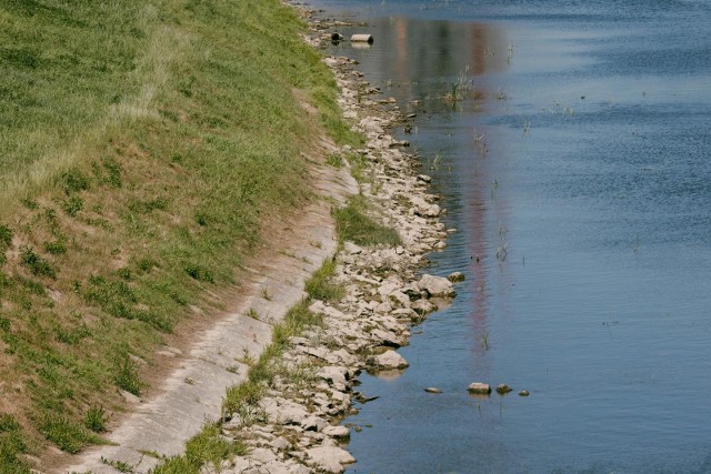 Susza będzie objawiała się niskim poziomem wody w rzekach.