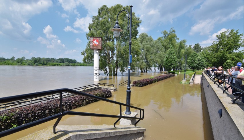 Poziom Wisły w Puławach wciąż powyżej stanu alarmowego. W Annopolu spada