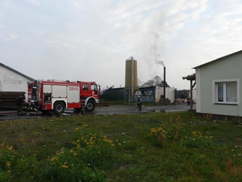 Pożar fermy drobiu w Kawiatkowicach, 05.10.2015