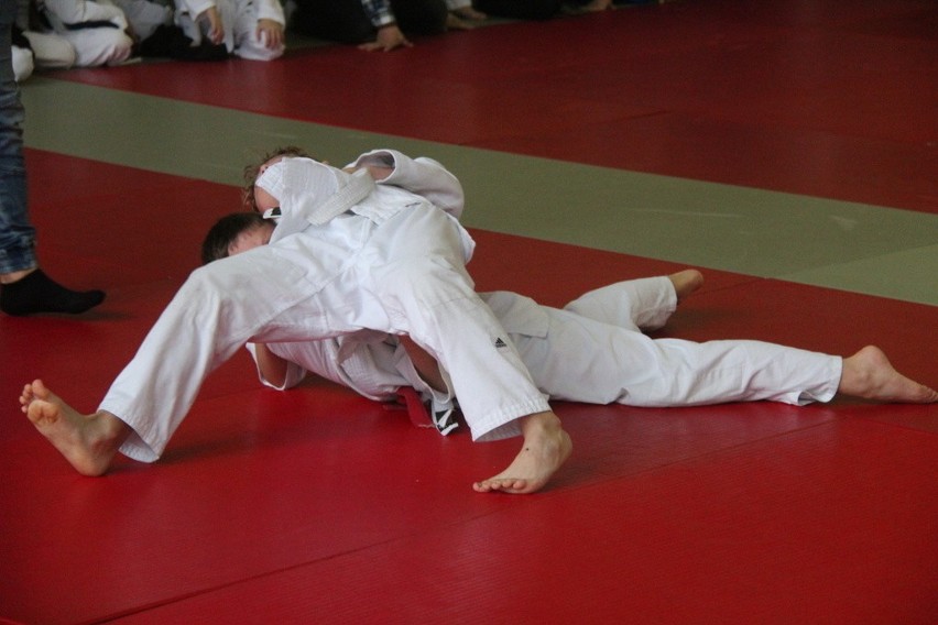 Turniej judo w dzielnicy Niwka zgromadził ponad 240...