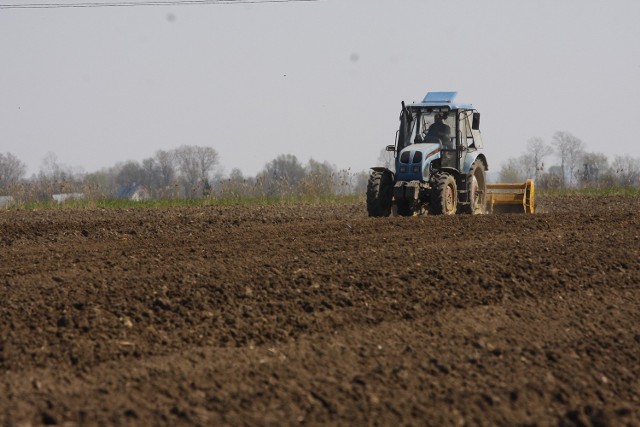 Działki u nas są małe. To sprawia, że cudzoziemcy wolą kupować gdzie indziej