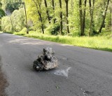 Duże głazy spadły na drogę w Ojcowskim Parku Narodowym. Kruszą się skały i tworzą niebezpieczne sytuacje