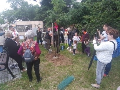 Lipa o imieniu Joanna. Kolejny protest przeciwko wycince drzew przy ul. Lipowej w Lublinie 