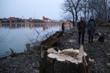 Toruń. Wieczornica na Kępie Bazarowej. Protest przeciw wycince kilkunastu hektarów lasu. Zobacz zdjęcia i film