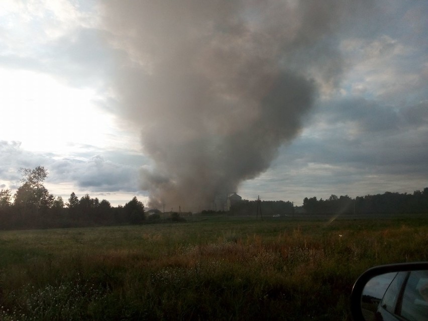 Pożar w Dzikowie pod Toruniem. Na fermie drobiu płonie jeden...