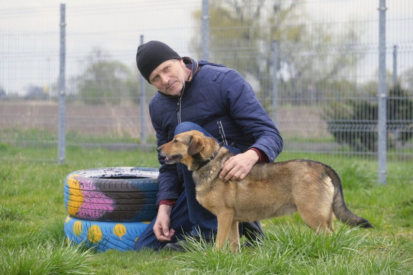 Schronisko dla zwierząt w Skałowie. Czy zwierzętom...