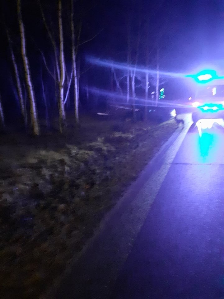 BMW zjechało z drogi i uderzyło w drzewo. Jedna osoba trafiła do szpitala