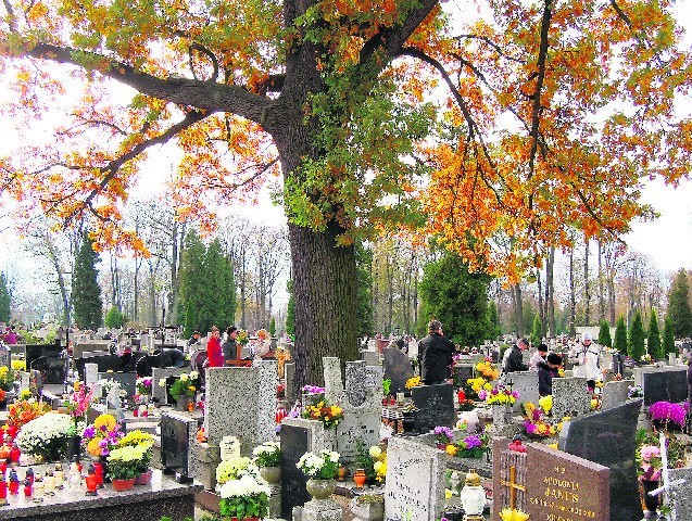 Łodzianie rozłożyli odwiedzanie grobów swoich bliskich na cztery dni - od czwartku do niedzieli.