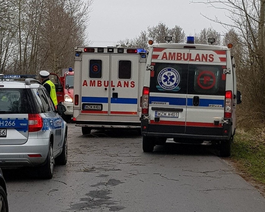 BMW uderzyło w drzewo na drodze lokalnej w Chechłach w gminie Policzna. Kierującą nim kobietę i jeszcze drugą osobę przewieziono do szpitala