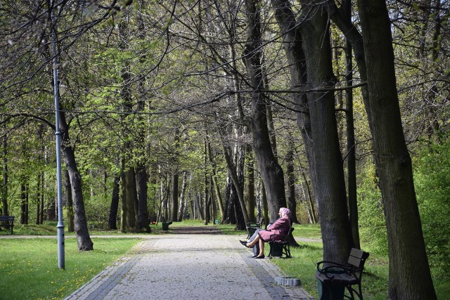 Park Kościuszki w Katowicach