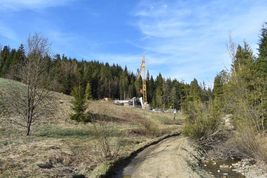 Kolejna ścieżka w koronach drzew pnie się w górę. Tym razem będzie to "Brama w Gorce"