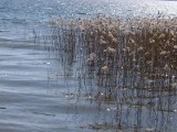 Tragedia na jeziorze Łuba we Włocławku. Utonął 61-letni mężczyzna