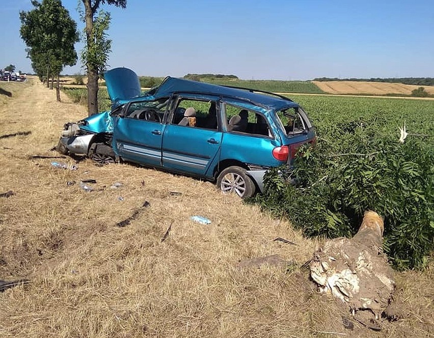 Wypadki na drodze nr 35 Wrocław - Świdnica. Auto uderzyło w drzewo