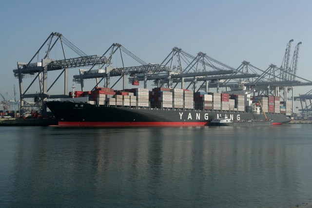 Tajwański armator kontenerowy YANG MING Marine Transport Corp ma przedstawiciela w Gdyni