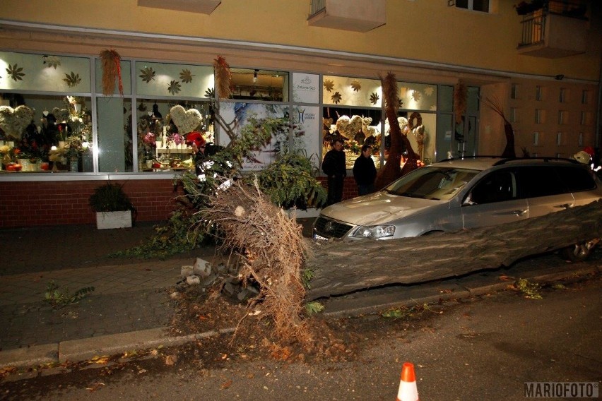 Na ulicy 1 Maja w Opolu drzewo runęło na latarnię i...