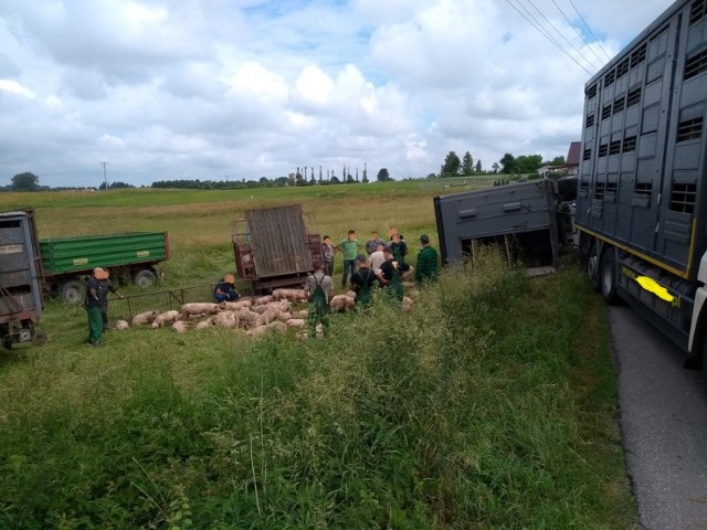 14 czerwca, dwadzieścia minut przed godziną 10.00,  doszło do wypadku w miejscowości Słonecznik (gm. Morąg).