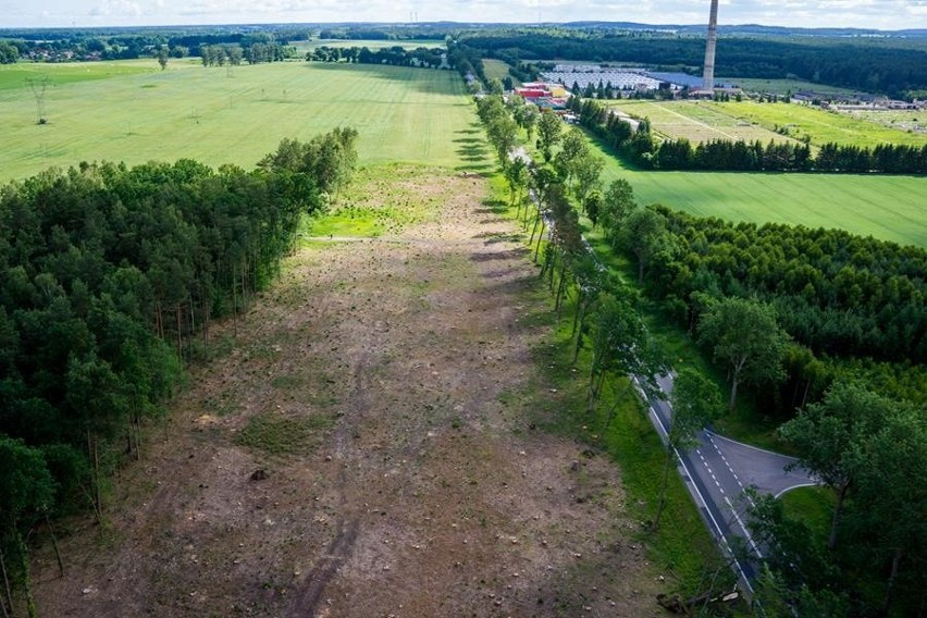 Specjalnie dla Was przygotowaliśmy wyjątkową galerię z...