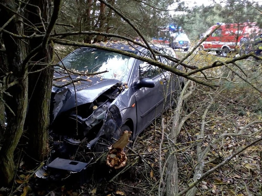 Wypadek pod Kazanowem. Ford focus uderzył w drzewo, dwaj młodzi mężczyźni zostali ranni