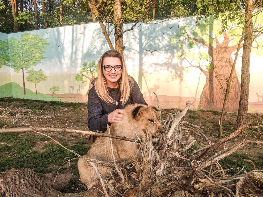 Wiceprzewodnicząca Rady Miasta Kielce Joanna Winiarska pogryziona przez... lwy w zoo Leśne Zacisze [ZDJĘCIA]