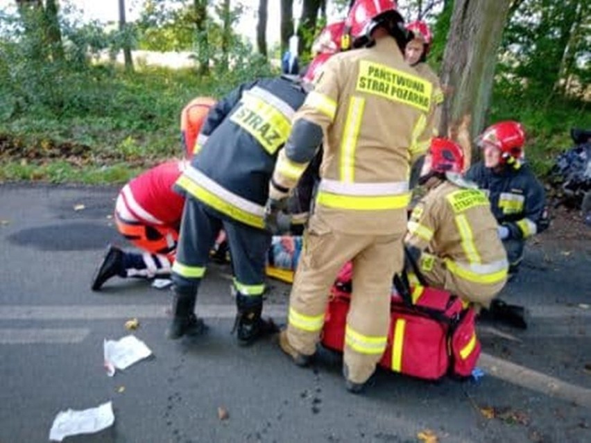 Powiat stargardzki. Kierowca renault clio uderzył w drzewo. Dwie osoby w szpitalu [ZDJĘCIA]