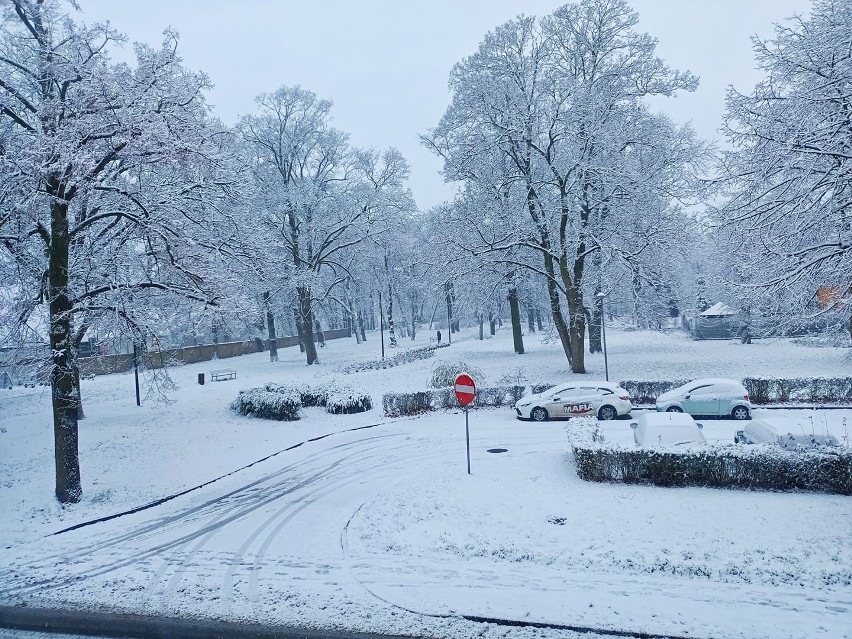 Sprawdziły się prognozy synoptyków. W Lubuskiem w nocy z...