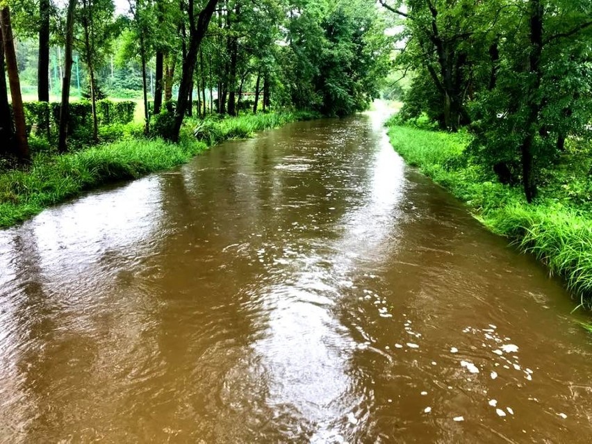 Strażacy interweniowali 225 razy. W 12 stacjach woda...