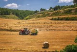 Dolina Rolnicza 4.0: Choć władze województwa spółki nie założyły, to mogą w niej dużo  