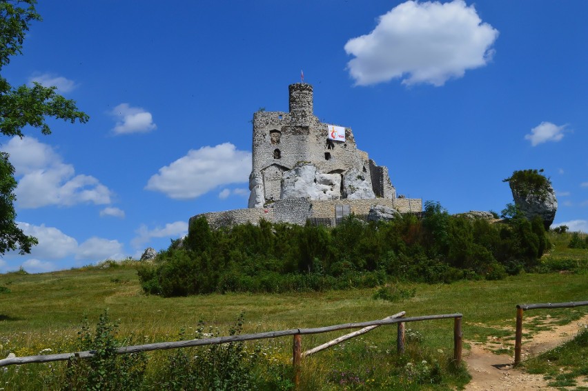 Jeśli chodzi o dowiedzione fakty, zamek w Mirowie był długo...