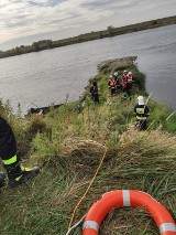 Lisewo Malborskie. Trwają poszukiwania mężczyzny na Wiśle [AKTUALIZACJA, ZDJĘCIA]. Policja ściągnęła sonar