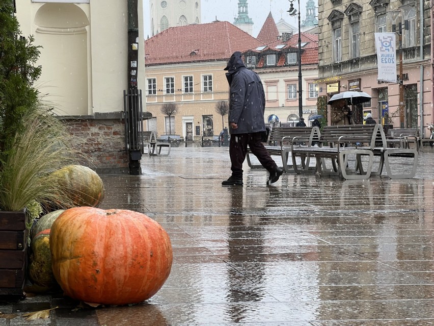Pierwszy śnieg w Lublinie. Zima wyprasza jesień? Zobacz zdjęcia z miejskich uliczek