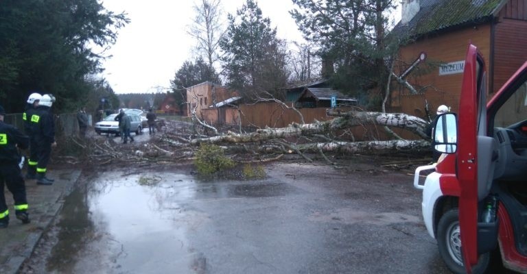 Większość działań strażaków polegała na usuwaniu powalonych...