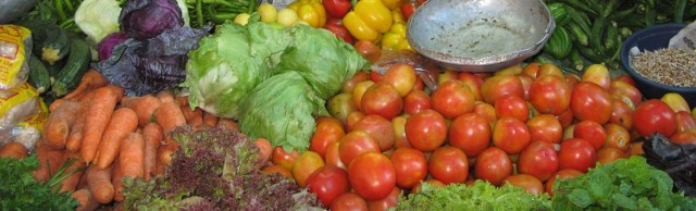 Warzywa w nadmorskich miejscowościach są droższe niż w innych miastach regionu.