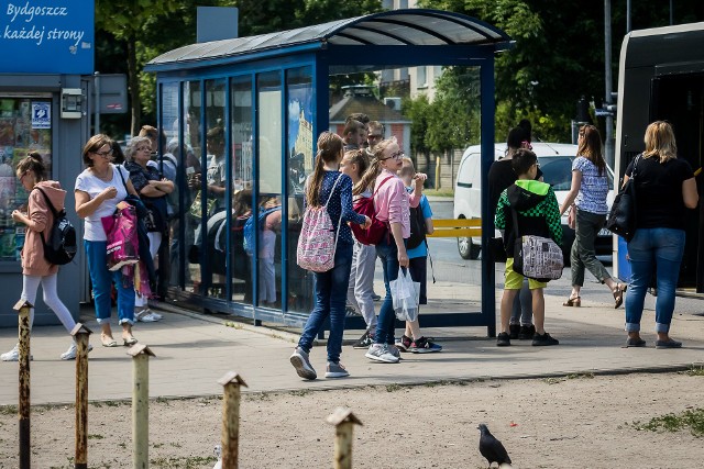 Niedługo minie 10 lat od uruchomienia pierwszej międzygminnej komunikacji autobusowej. Jako pierwsze autobusami MZK połączenie uzyskała gmina Białe Błota. Dziś międzygminnych połączeń jest już dziewięć. Jakie cieszą się największym powodzeniem, a jakie "wożą powietrze"? Zobaczcie w dalszej części galerii >>>