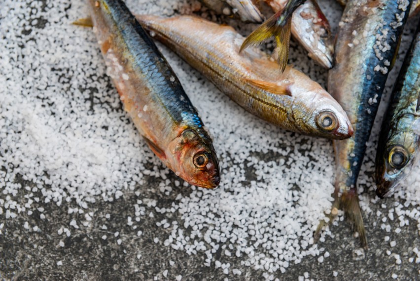 Ryby i skorupiaki, mięczaki i pozostałe bezkręgowce wodne