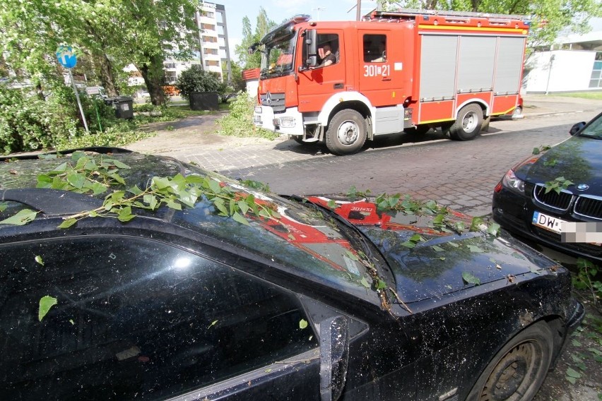 Drzewo powalone przez burzę w rejonie ul. Dmowskiego we...