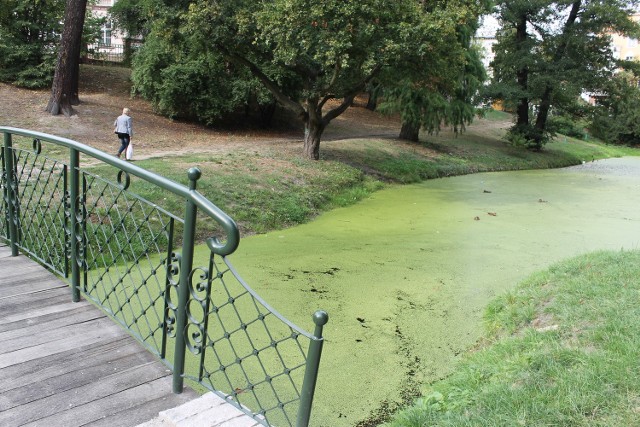 Nowy mostek nad fosą kosztował około 100 tys. zł, kolejny etap remontu tego fragmentu parku będzie dziesięć razy droższy.