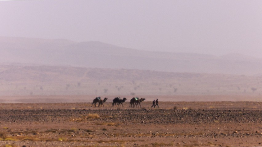Runmageddon Sahara. To nie żart. Pobiegną przez afrykańską pustynię ZDJĘCIA + WIDEO