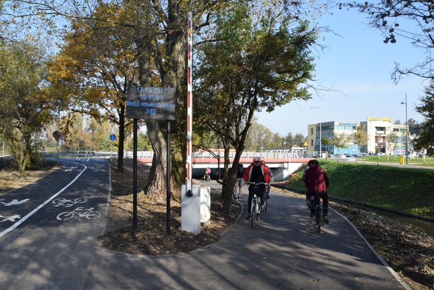 Rybnik ma najładniejszą trasę rowerową na Śląsku