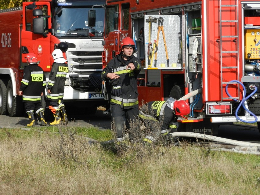 Pożar niedaleko Gniezna: Wielki dym nad Ganiną [ZDJĘCIA]