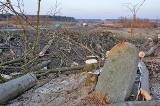 Droga S5 przetnie cmentarz ewangelicki we Wiągu. Na pamiątkę powstanie lapidarium