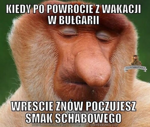 Janusz i Grażyna na wakacjach - najlepsze memy o wczasach w...