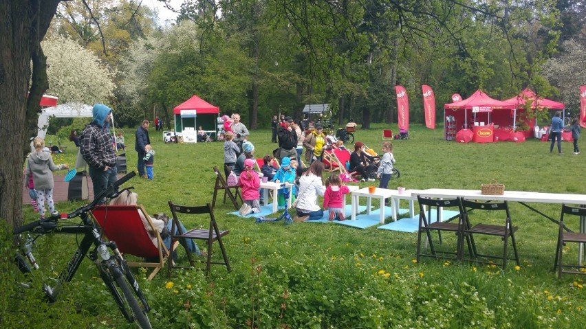 Piknik w Parku Grabiszyńskim: Cztery łapy na polanie [ZDJĘCIA]