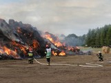 Pożar w Ostrowie koło Łasku. Kilkadziesiąt zastępów w akcji [FILM]