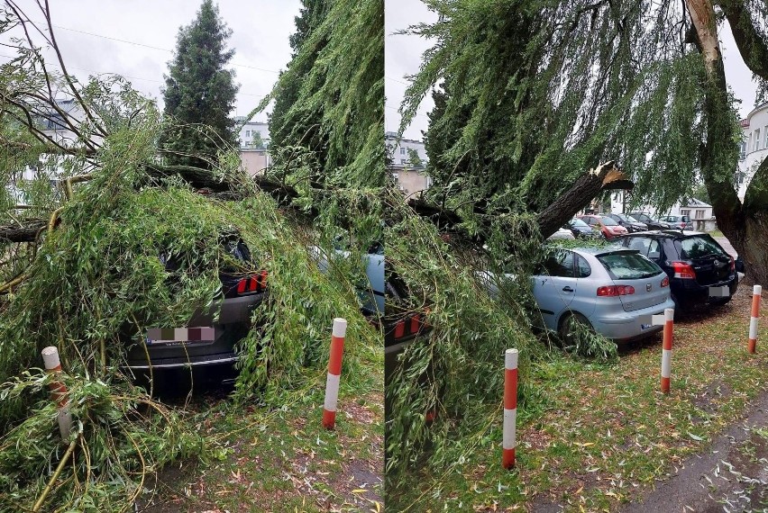 Białystok. Konar drzewa spadł na samochody stojące na...