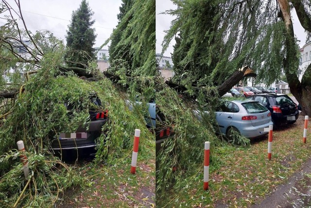 Białystok. Konar drzewa spadł na samochody stojące na parkingu przy szpitalu wojewódzkim.